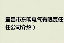 宜昌市东明电气有限责任公司（关于宜昌市东明电气有限责任公司介绍）