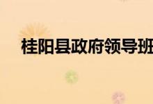 桂阳县政府领导班子名单最新（桂阳县）