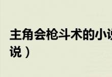 主角会枪斗术的小说推荐（主角会枪斗术的小说）