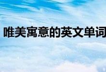 唯美寓意的英文单词（唯美有寓意英文单词）