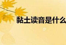 黏土读音是什么意思（黏土的读音）