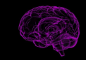 认知行为疗法使强迫症患者的大脑异常正常化