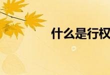 什么是行权（什么是行权）