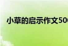 小草的启示作文500字（小草的启示作文）