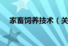 家畜饲养技术（关于家畜饲养技术介绍）