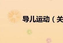 导儿运动（关于导儿运动介绍）