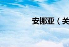 安挪亚（关于安挪亚介绍）