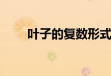 叶子的复数形式（叶子的英文单词）