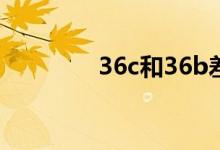 36c和36b差别多大（36c）
