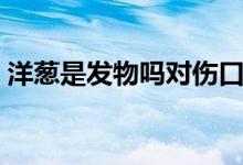 洋葱是发物吗对伤口不好吗（洋葱是发物吗）
