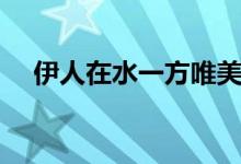 伊人在水一方唯美句子（伊人在水一方）