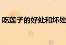 吃莲子的好处和坏处（哪些人不适合吃莲子）