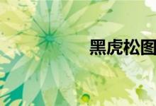黑虎松图片（黑虎松）