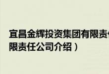 宜昌金辉投资集团有限责任公司（关于宜昌金辉投资集团有限责任公司介绍）