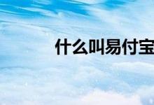 什么叫易付宝（易付宝是什么）