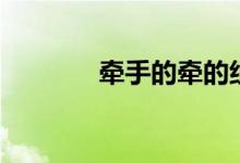 牵手的牵的组词（牵的组词）