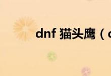 dnf 猫头鹰（dnf猫头鹰是什么）