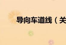 导向车道线（关于导向车道线介绍）