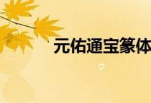 元佑通宝篆体罕见（元佑通宝）