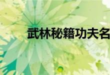 武林秘籍功夫名字大全（武林秘籍）