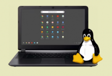 如何在 Chromebook 上运行 Linux 应用
