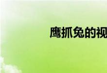 鹰抓兔的视频（鹰捉兔子）