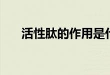 活性肽的作用是什么（活性肽的作用）