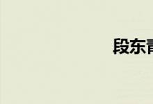 段东青（段东）