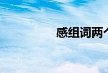 感组词两个字（感组词）