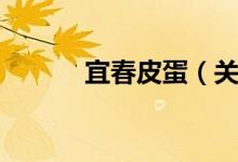 宜春皮蛋（关于宜春皮蛋介绍）
