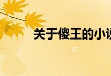 关于傻王的小说大全(傻王系列)