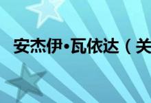 安杰伊·瓦依达（关于安杰伊·瓦依达介绍）