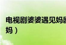 电视剧婆婆遇见妈剧情介绍（电视剧婆婆遇见妈）