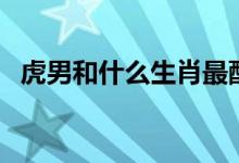 虎男和什么生肖最配（虎和什么生肖最配）