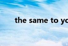 the same to you翻译（the same）