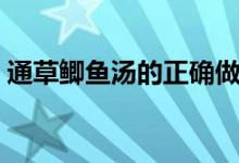 通草鲫鱼汤的正确做法（通草猪蹄汤的做法）