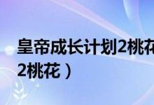 皇帝成长计划2桃花什么意思（皇帝成长计划2桃花）