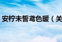 安柠未誓鸢色暖（关于安柠未誓鸢色暖介绍）