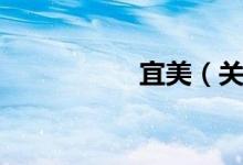 宜美(关于宜美介绍)