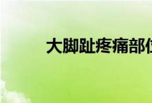 大脚趾疼痛部位对照表（大脚趾）
