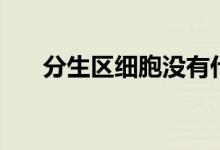 分生区细胞没有什么细胞器（分生区）