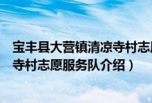 宝丰县大营镇清凉寺村志愿服务队（关于宝丰县大营镇清凉寺村志愿服务队介绍）