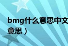 bmg什么意思中文意思汽车方面(bmg什么意思)