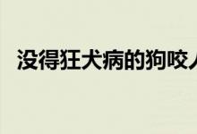 没得狂犬病的狗咬人会得狂犬病么（没得）