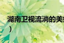 湖南卫视流淌的美好时光(湖南卫视流星雨3)