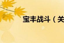 宝丰战斗（关于宝丰战斗介绍）