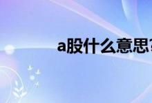a股什么意思?(a股是啥意思)