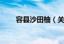 容县沙田柚（关于容县沙田柚介绍）