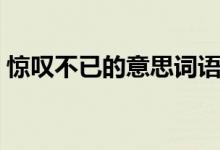 惊叹不已的意思词语解释（惊叹不已的意思）