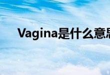 Vagina是什么意思（vagina什么意思）